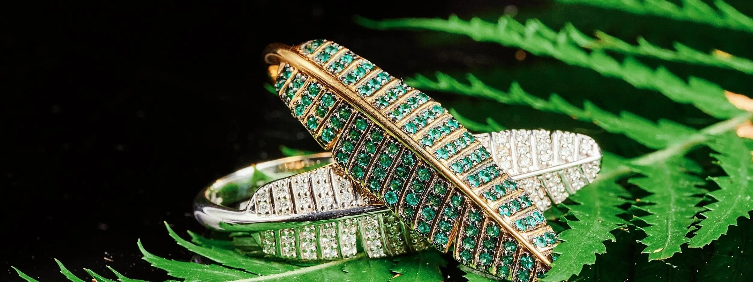 Paradisica Collection