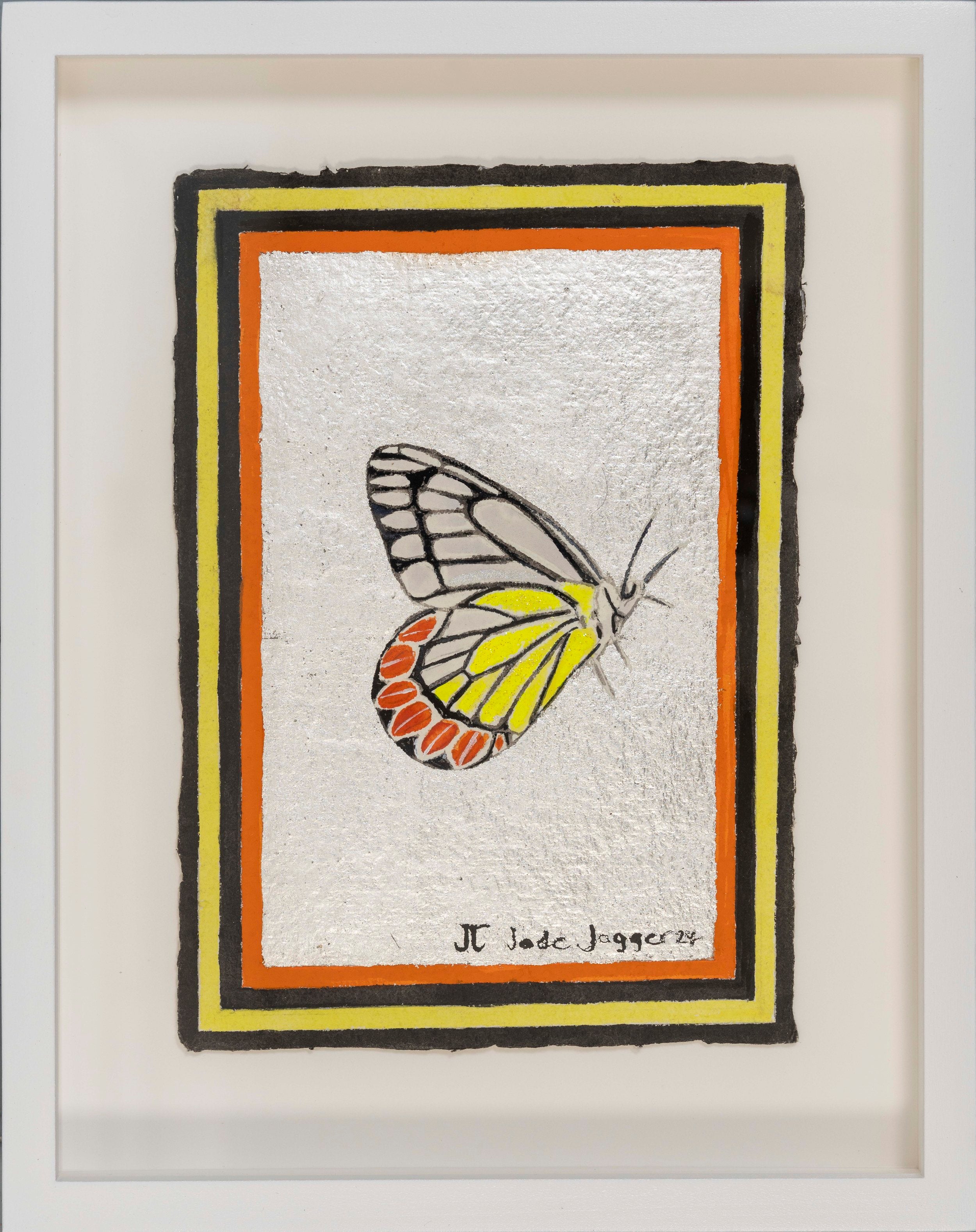 Common Jezebel Butterfly with White Gold Leaf