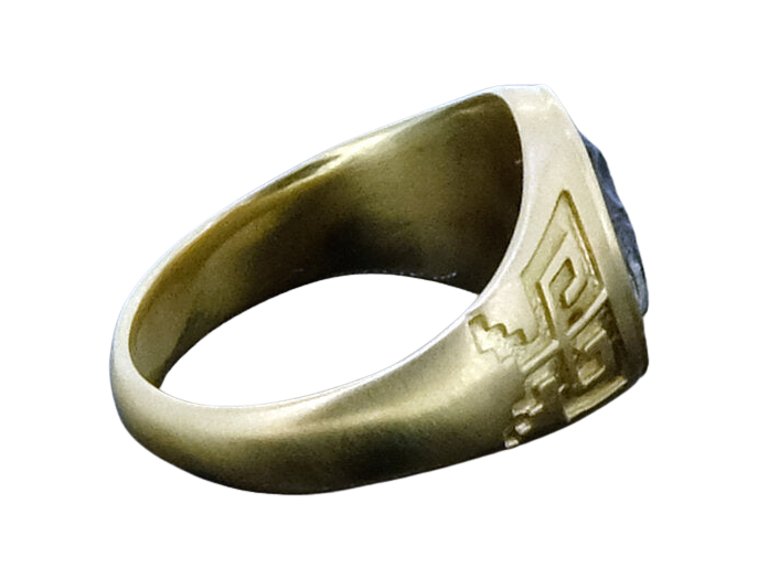 Labradorite Koyote Ring